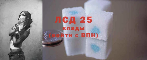 стаф Вязники