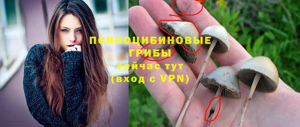герыч Верхний Тагил